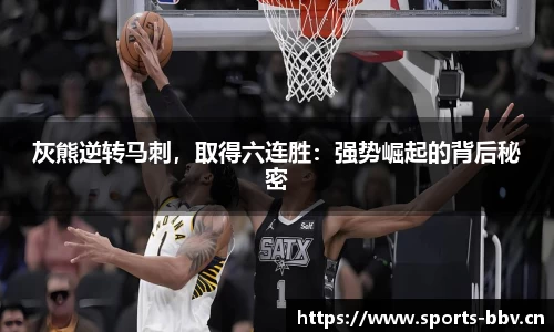 bbv体育官网