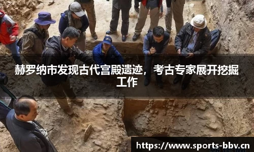 bbv体育官网