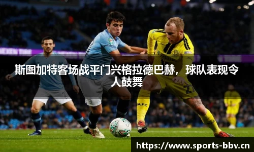 bbv体育平台