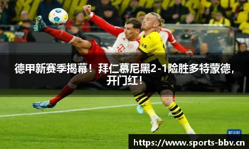 bbv体育官网