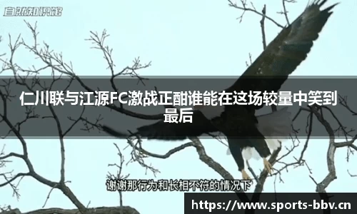 bbv体育官网