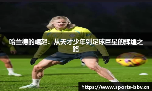 bbv体育