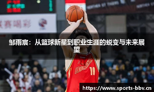 bbv体育官网